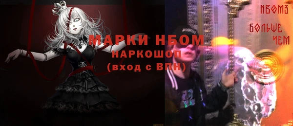 СК Инта