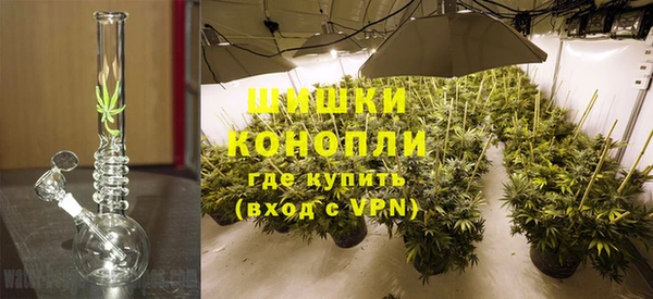 СК Инта
