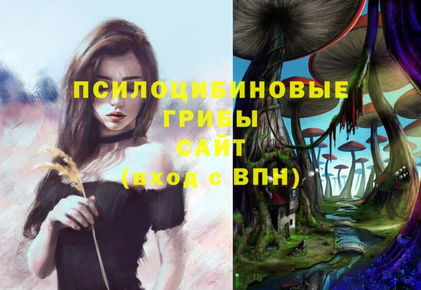 spice Инсар