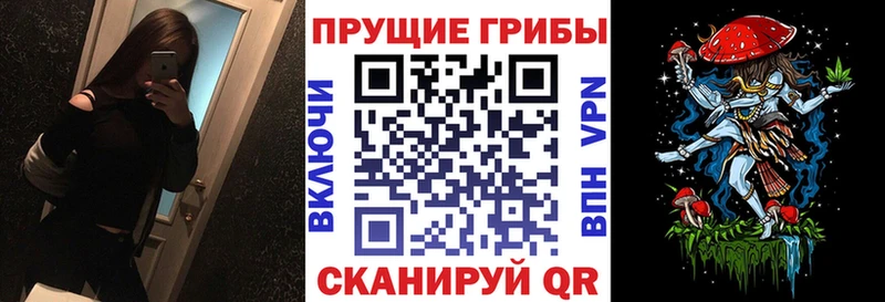 наркота  Кандалакша  Галлюциногенные грибы мицелий 