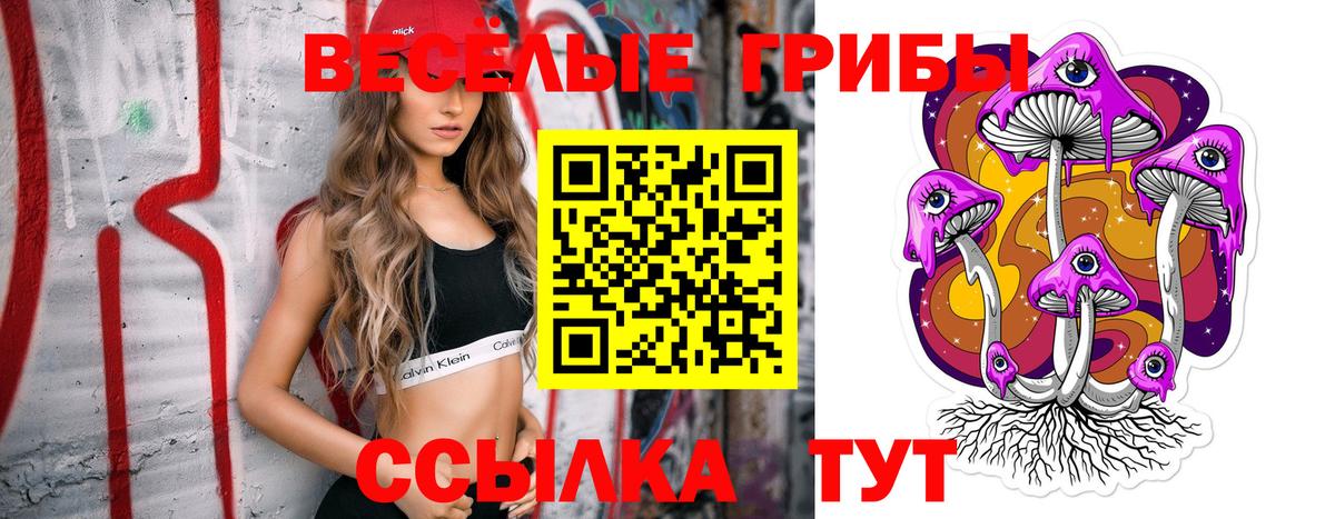 Кандалакша  Псилоцибиновые грибы Psilocybine cubensis  Вход с VPN 