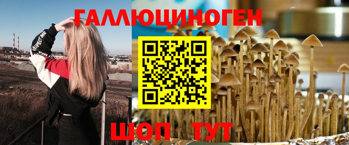 Псилоцибиновые грибы ЛСД Кандалакша